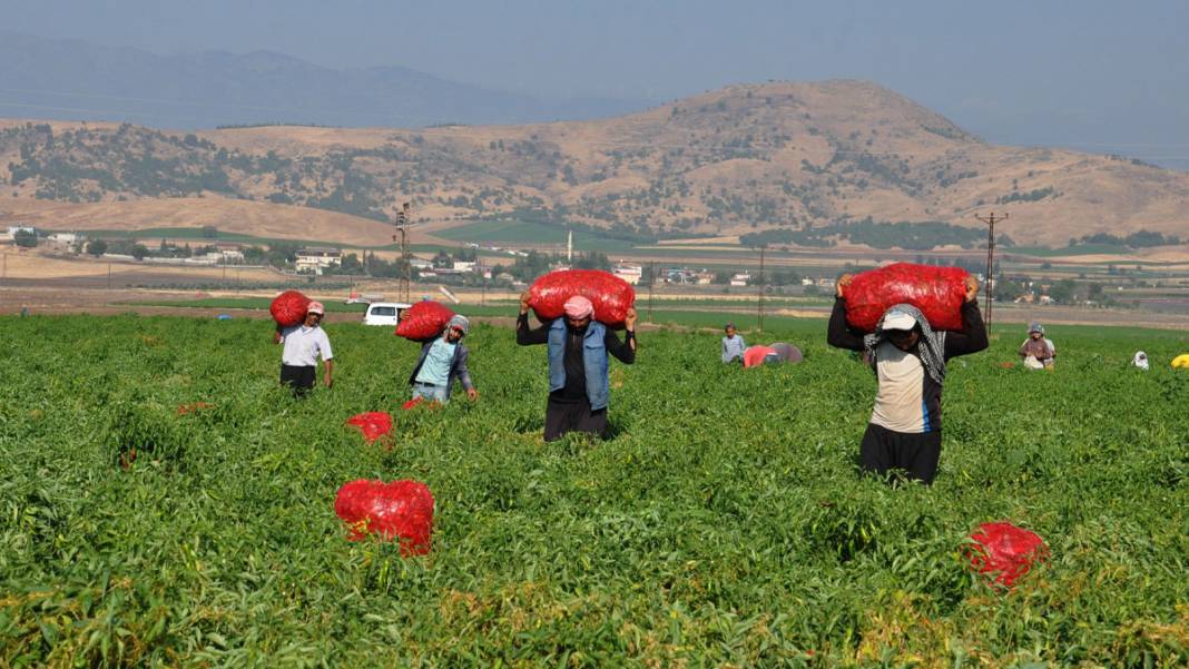 Gaziantep'te işçiler, ekmeğini acıdan kazanıyor 8