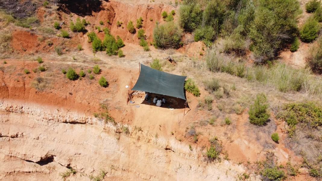 Tarihe ışık tutan keşif! Bu fosiller tam 9 milyon yıllık 6