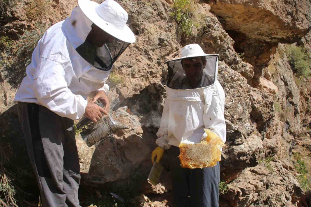 Fiyatı altınla yarışıyor! 11 yıl önce dağda keşfetti 2