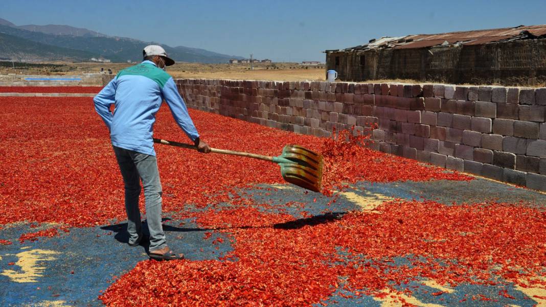 Gaziantep'te işçiler, ekmeğini acıdan kazanıyor 7