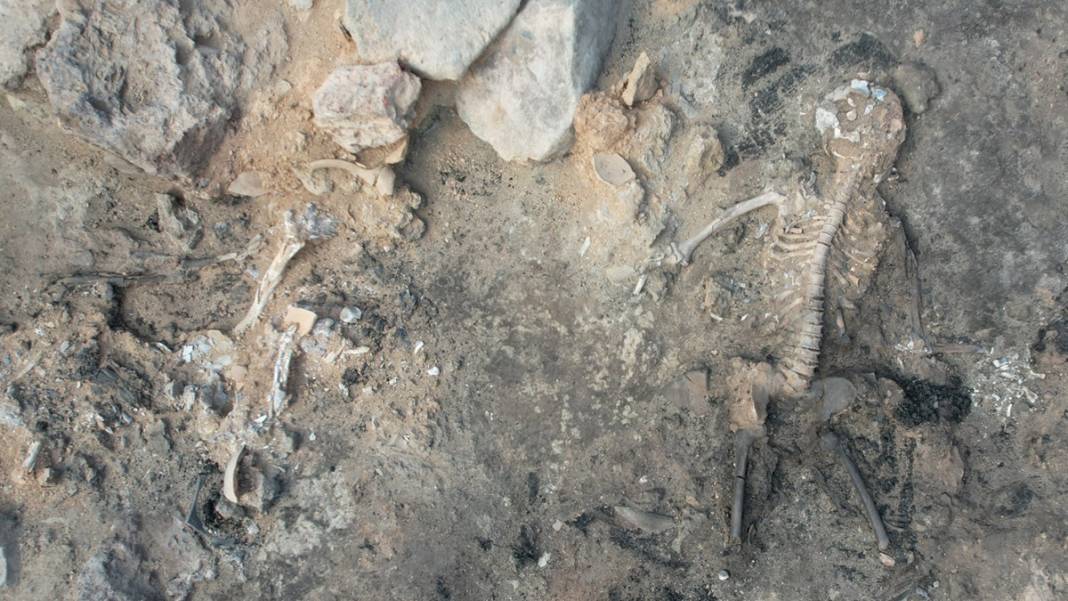 Türkiye'de ilk ve tek! Arkeoloji dünyasını heyecanlandıran 3 bin 700 yıllık keşif 1