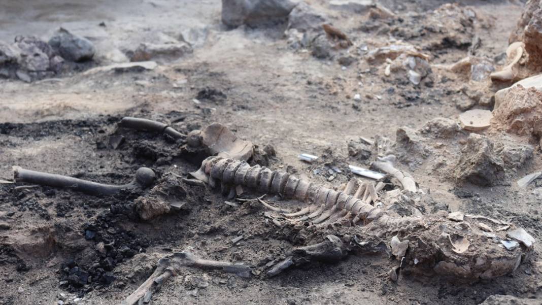 Türkiye'de ilk ve tek! Arkeoloji dünyasını heyecanlandıran 3 bin 700 yıllık keşif 3