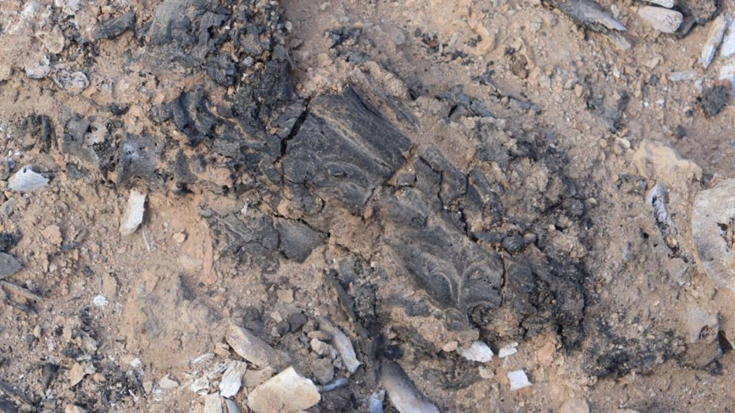 Türkiye'de ilk ve tek! Arkeoloji dünyasını heyecanlandıran 3 bin 700 yıllık keşif 7