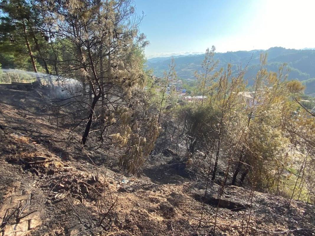 Hatay Antakya'da korkutan orman yangını: Ekiplerin müdahalesiyle büyümeden söndürüldü 3