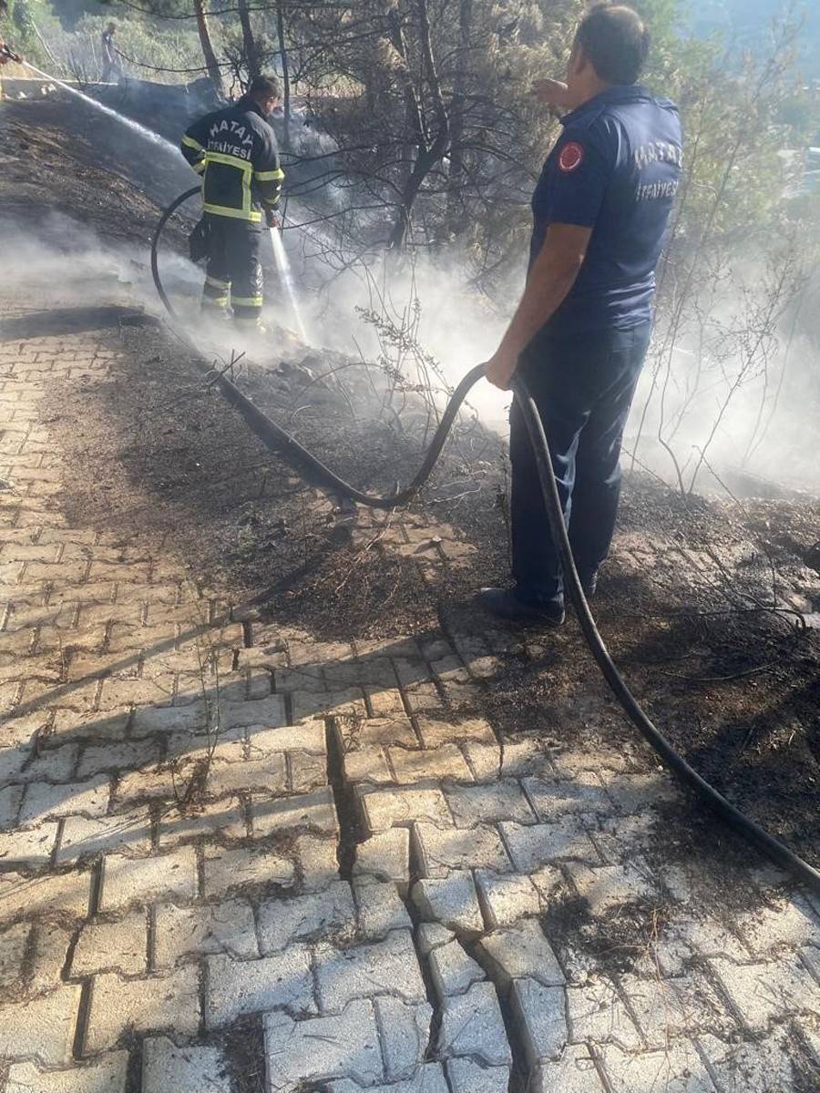 Hatay Antakya'da korkutan orman yangını: Ekiplerin müdahalesiyle büyümeden söndürüldü 4