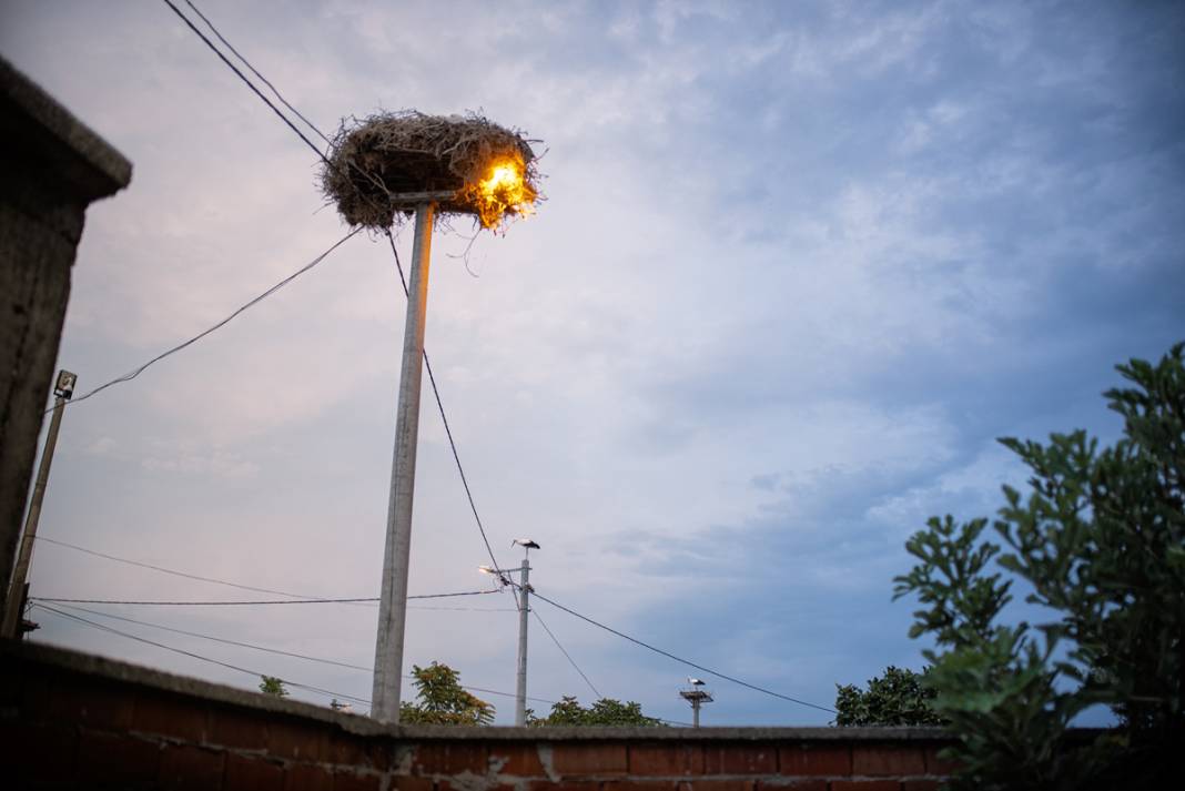 'Yaren' yeniden yuvadan ayrıldı 7