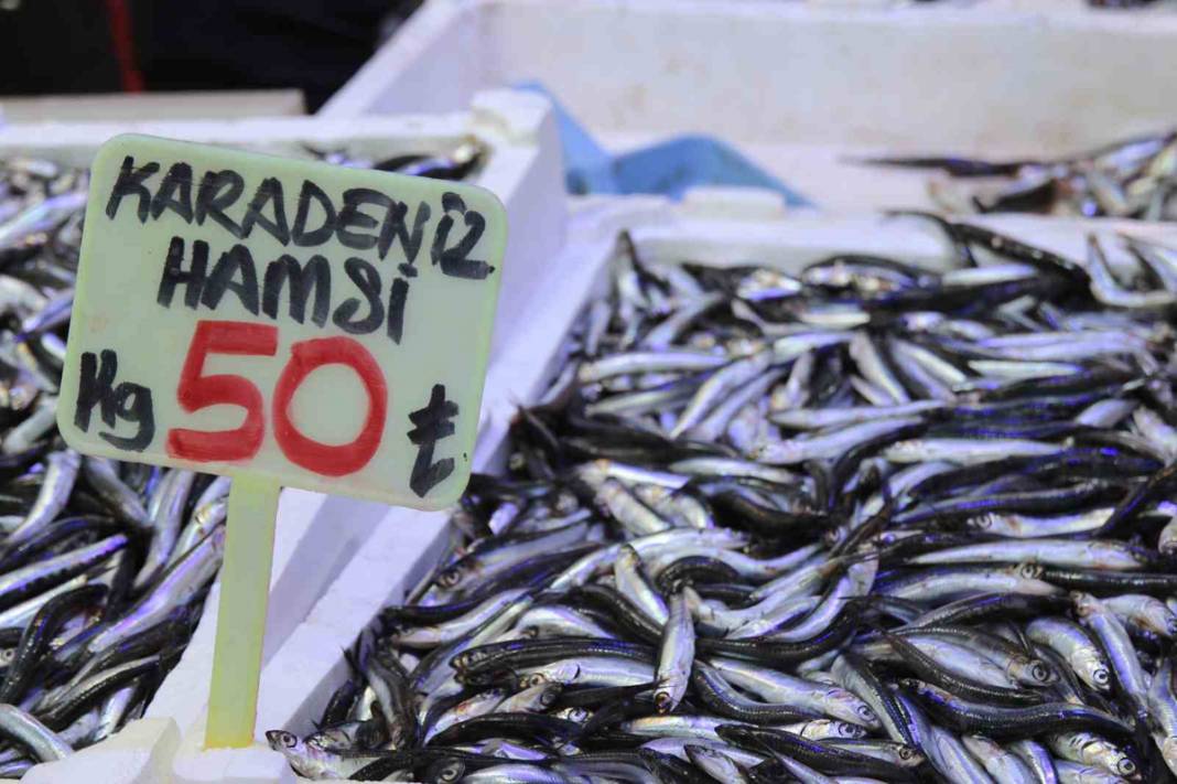 Palamutun tahtını hamsi aldı: Fiyatlar 100 liradan 50 liraya düştü 3