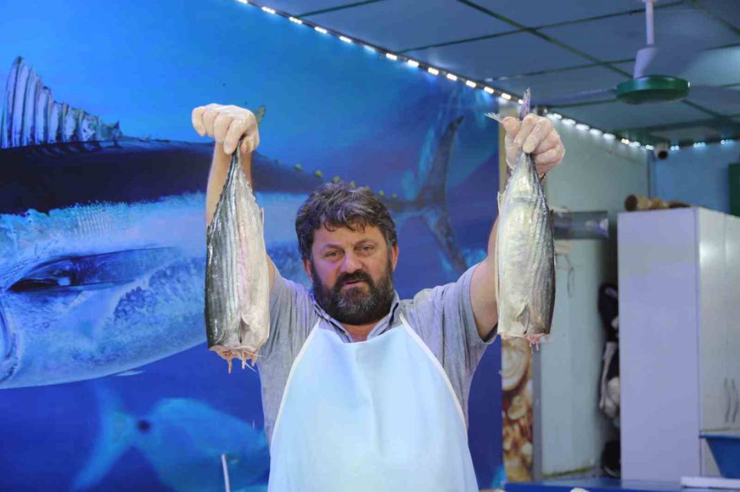 Palamutun tahtını hamsi aldı: Fiyatlar 100 liradan 50 liraya düştü 9