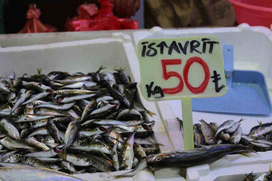 Palamutun tahtını hamsi aldı: Fiyatlar 100 liradan 50 liraya düştü 8