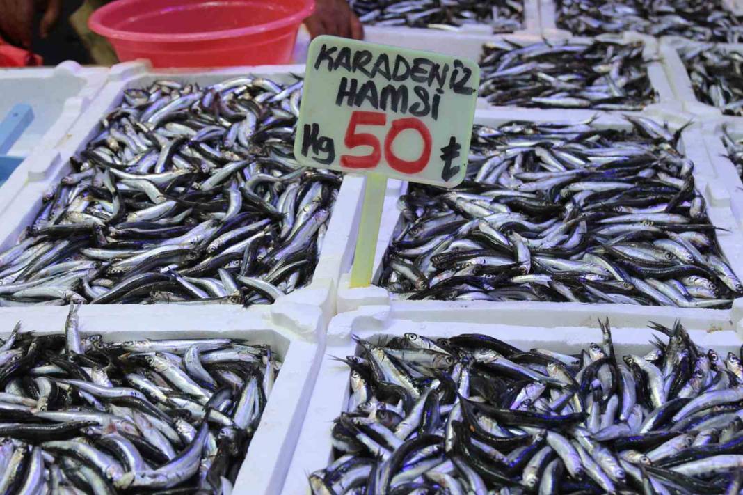 Palamutun tahtını hamsi aldı: Fiyatlar 100 liradan 50 liraya düştü 2