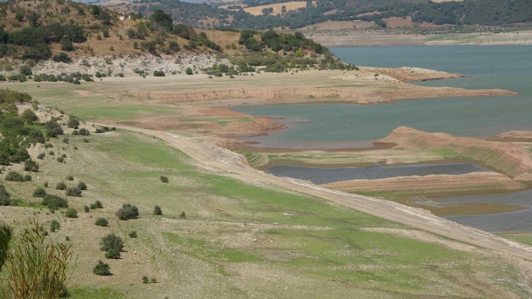 'Bin Pınarlı İda' can çekişiyor: Kuraklık vurdu, dereler kurudu 16