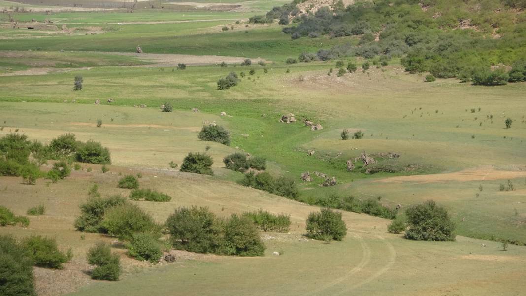 'Bin Pınarlı İda' can çekişiyor: Kuraklık vurdu, dereler kurudu 14