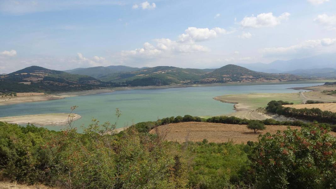 'Bin Pınarlı İda' can çekişiyor: Kuraklık vurdu, dereler kurudu 1