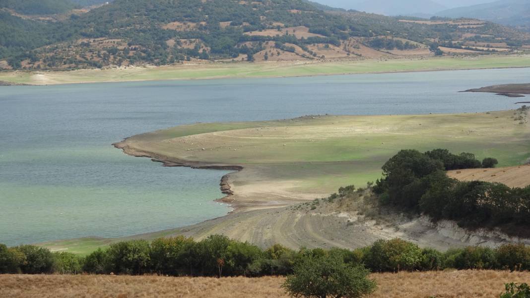 'Bin Pınarlı İda' can çekişiyor: Kuraklık vurdu, dereler kurudu 2