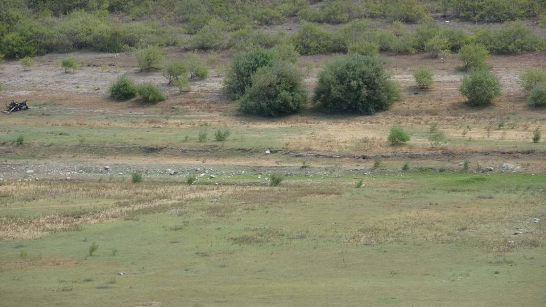 'Bin Pınarlı İda' can çekişiyor: Kuraklık vurdu, dereler kurudu 3