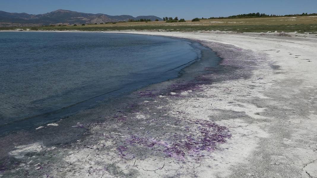 Kuraklıkla boğuşuyordur, deterjan kirliliği de vurdu! Burdur Gölü sahili morardı 7