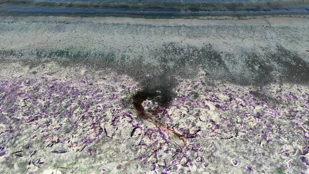 Kuraklıkla boğuşuyordur, deterjan kirliliği de vurdu! Burdur Gölü sahili morardı 1