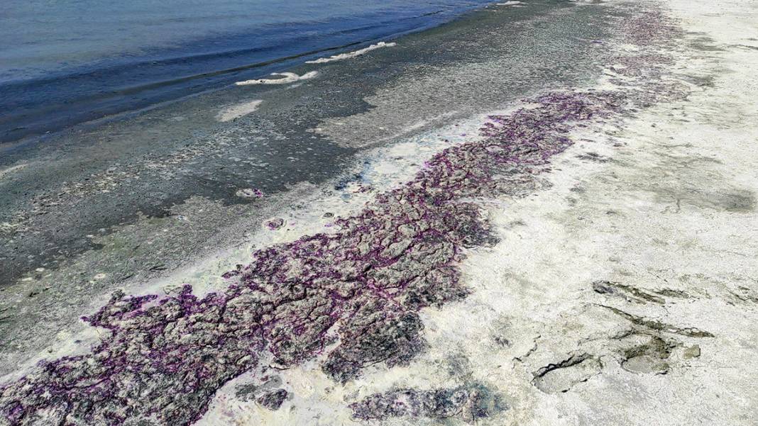 Kuraklıkla boğuşuyordur, deterjan kirliliği de vurdu! Burdur Gölü sahili morardı 4