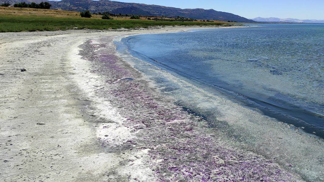 Kuraklıkla boğuşuyordur, deterjan kirliliği de vurdu! Burdur Gölü sahili morardı 5