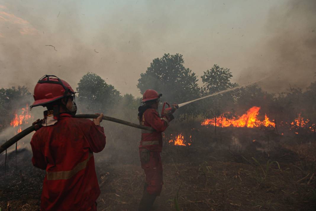 Endonezya'da 3 farklı bölgede yangın: İtfaiye ekipleri yangınları söndürmeye çalışıyor 15