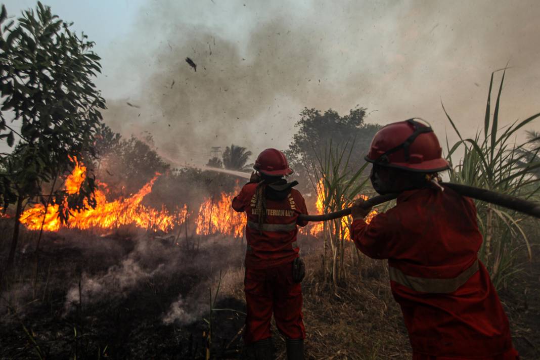 Endonezya'da 3 farklı bölgede yangın: İtfaiye ekipleri yangınları söndürmeye çalışıyor 13