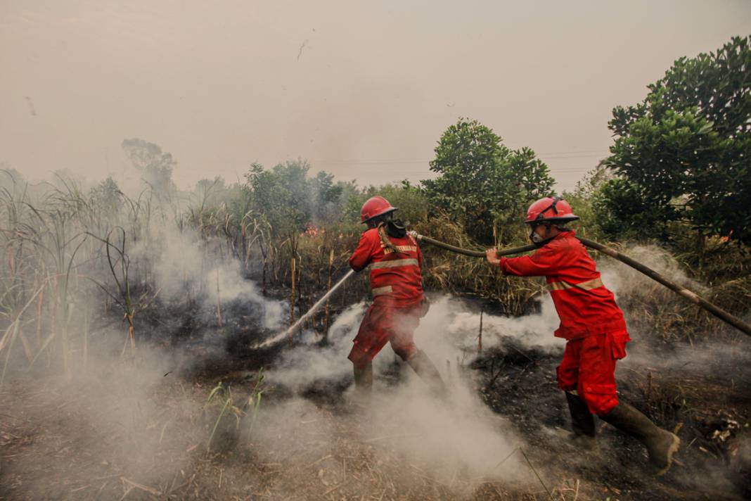 Endonezya'da 3 farklı bölgede yangın: İtfaiye ekipleri yangınları söndürmeye çalışıyor 6