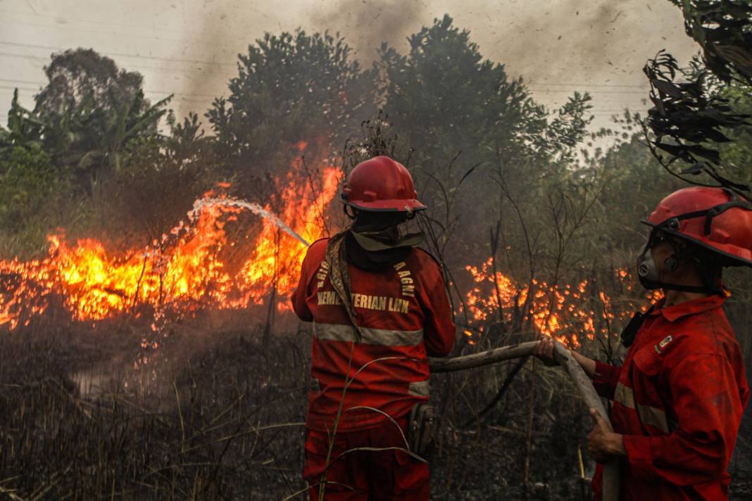 Endonezya'da 3 farklı bölgede yangın: İtfaiye ekipleri yangınları söndürmeye çalışıyor 1