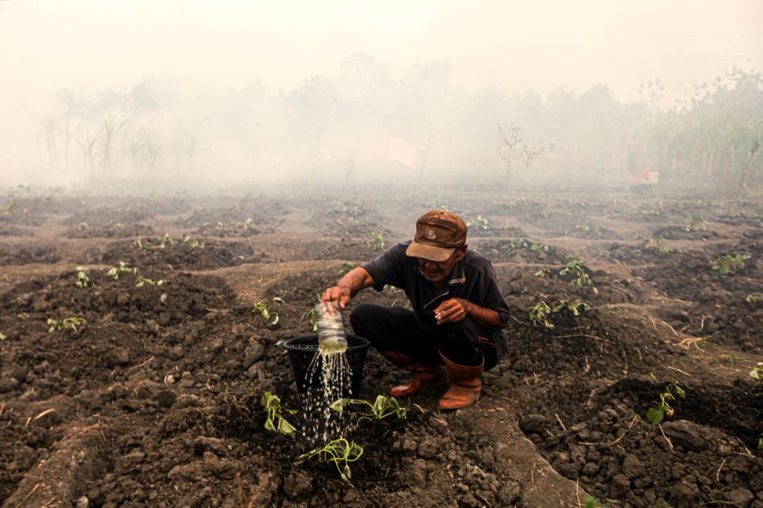 Endonezya'da 3 farklı bölgede yangın: İtfaiye ekipleri yangınları söndürmeye çalışıyor 12