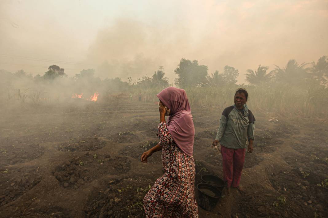 Endonezya'da 3 farklı bölgede yangın: İtfaiye ekipleri yangınları söndürmeye çalışıyor 8