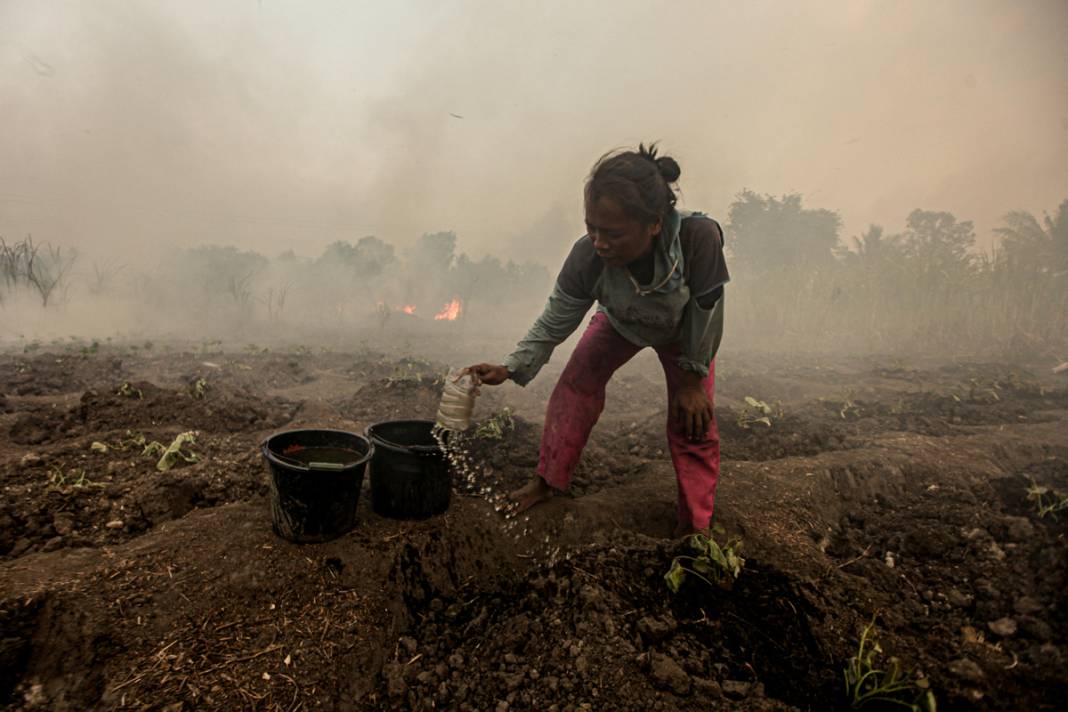 Endonezya'da 3 farklı bölgede yangın: İtfaiye ekipleri yangınları söndürmeye çalışıyor 10