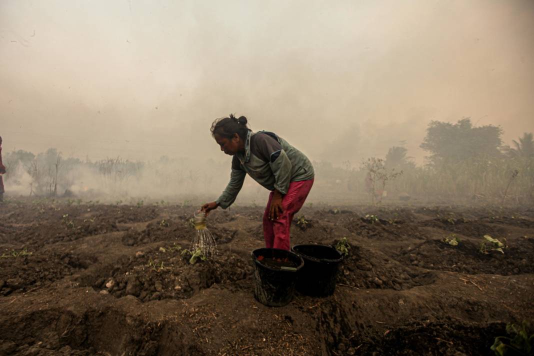 Endonezya'da 3 farklı bölgede yangın: İtfaiye ekipleri yangınları söndürmeye çalışıyor 11