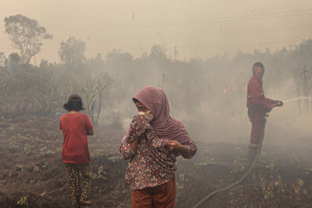 Endonezya'da 3 farklı bölgede yangın: İtfaiye ekipleri yangınları söndürmeye çalışıyor 9
