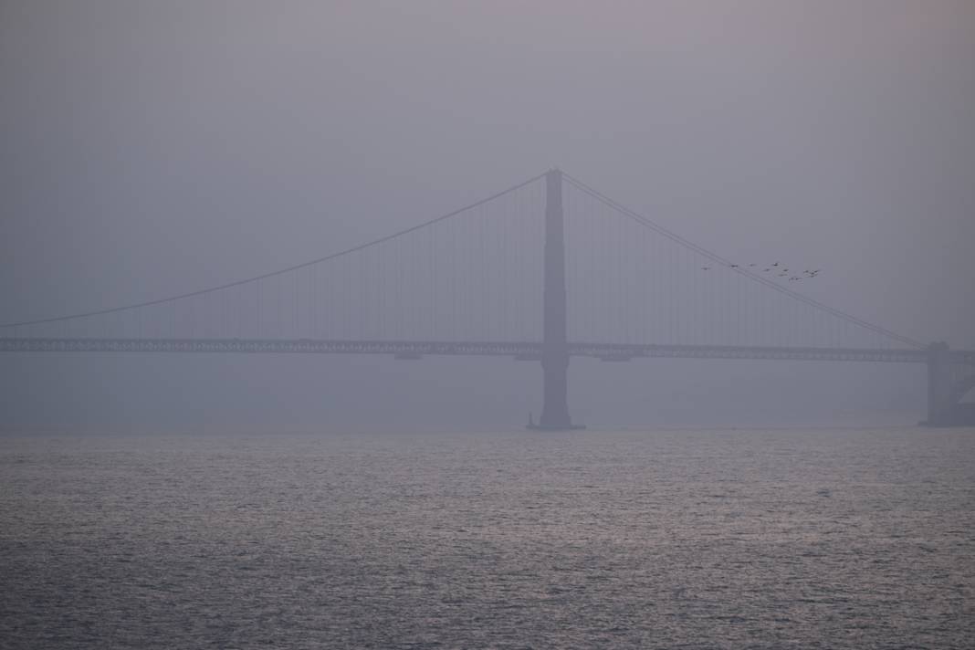 California ve Oregon'da orman yangınları devam ediyor: Dumanlar hava kalitesini olumsuz etkiledi 7