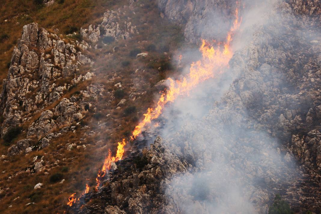 Ada yangına teslim: Yüzlerce kişi tahliye edildi, iki kişi öldü 9