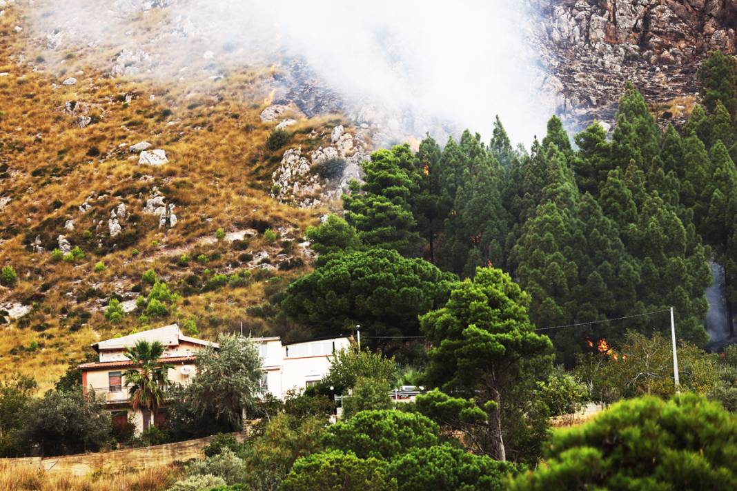Ada yangına teslim: Yüzlerce kişi tahliye edildi, iki kişi öldü 8