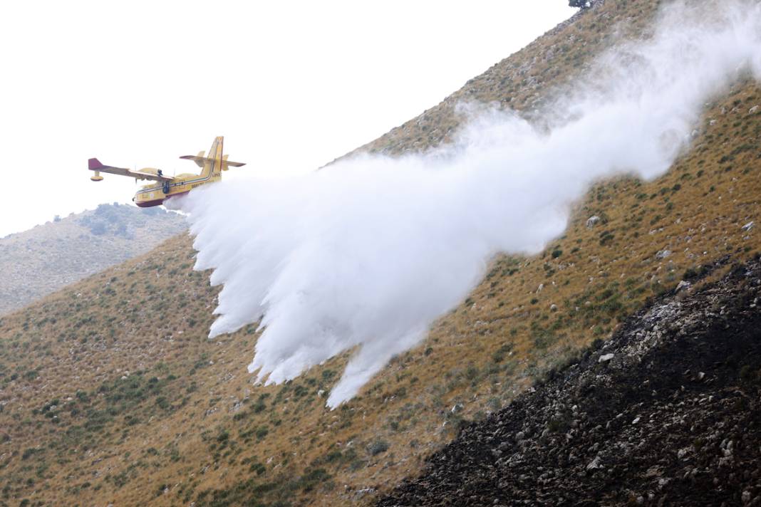 Ada yangına teslim: Yüzlerce kişi tahliye edildi, iki kişi öldü 7