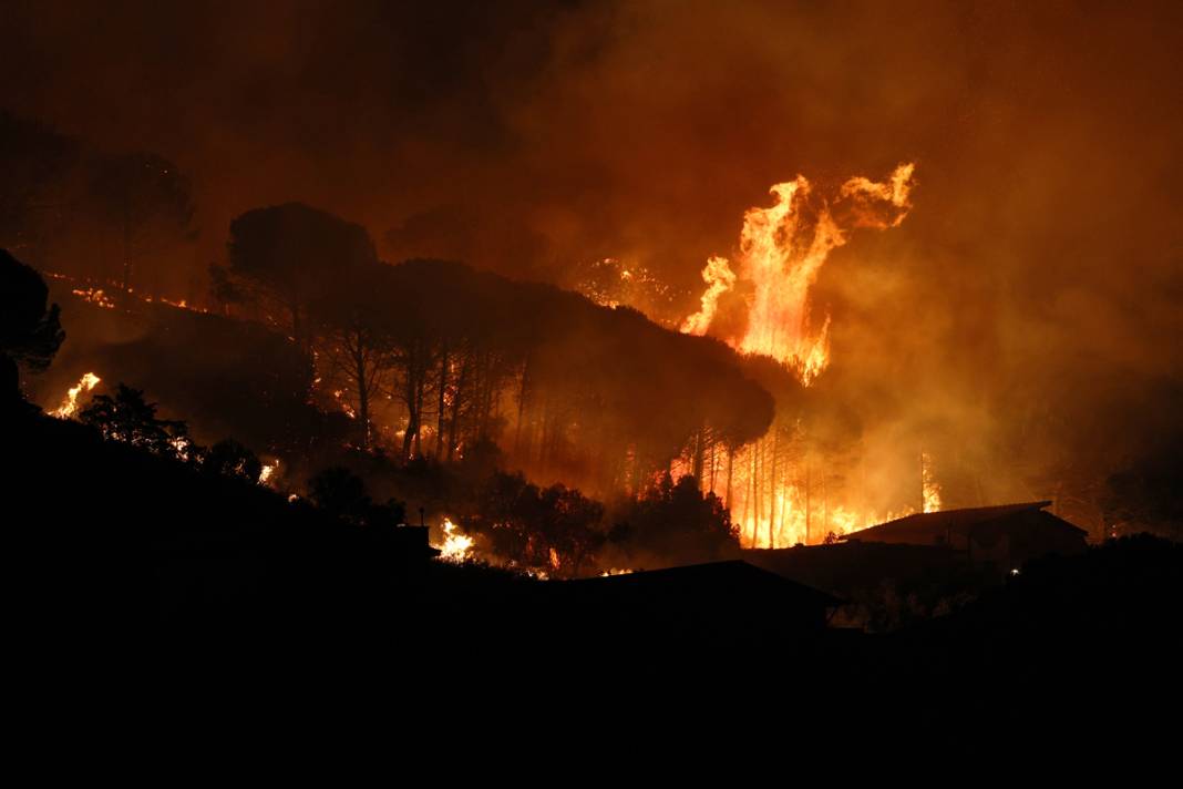 Ada yangına teslim: Yüzlerce kişi tahliye edildi, iki kişi öldü 6