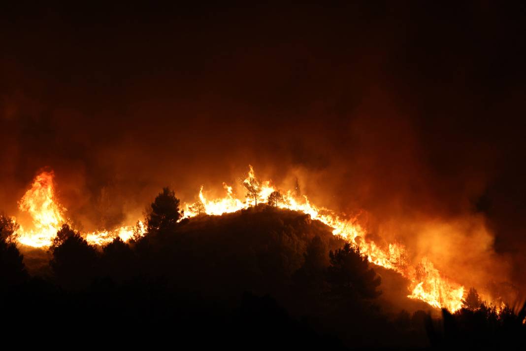 Ada yangına teslim: Yüzlerce kişi tahliye edildi, iki kişi öldü 5