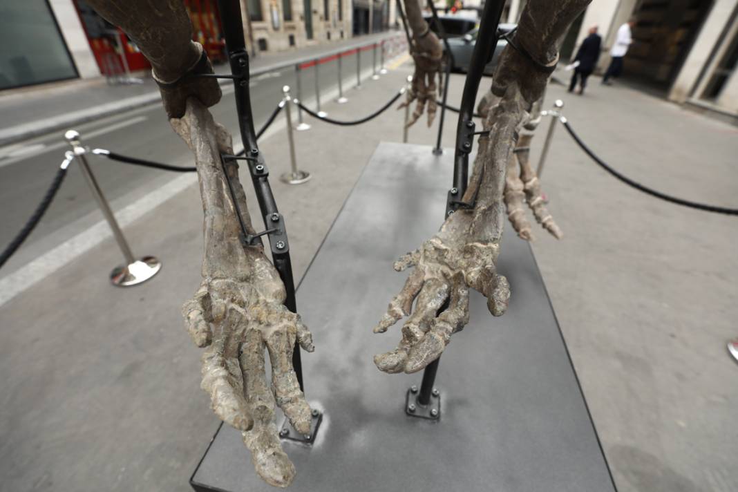 150 milyon yıllık dinozor açık artırmada: Ziyaretçiler gözlerine inanamıyor 8