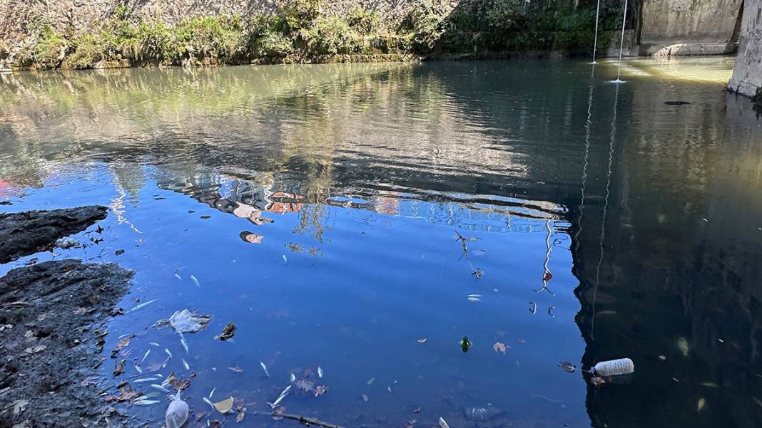 Bartın'da tedirgin eden görüntü: Kuraklık balıkları öldürüyor 7