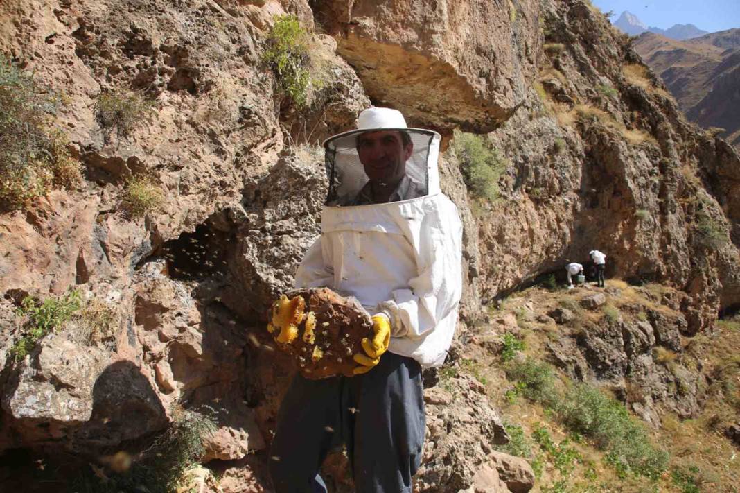 Fiyatı altınla yarışıyor! 11 yıl önce dağda keşfetti 1
