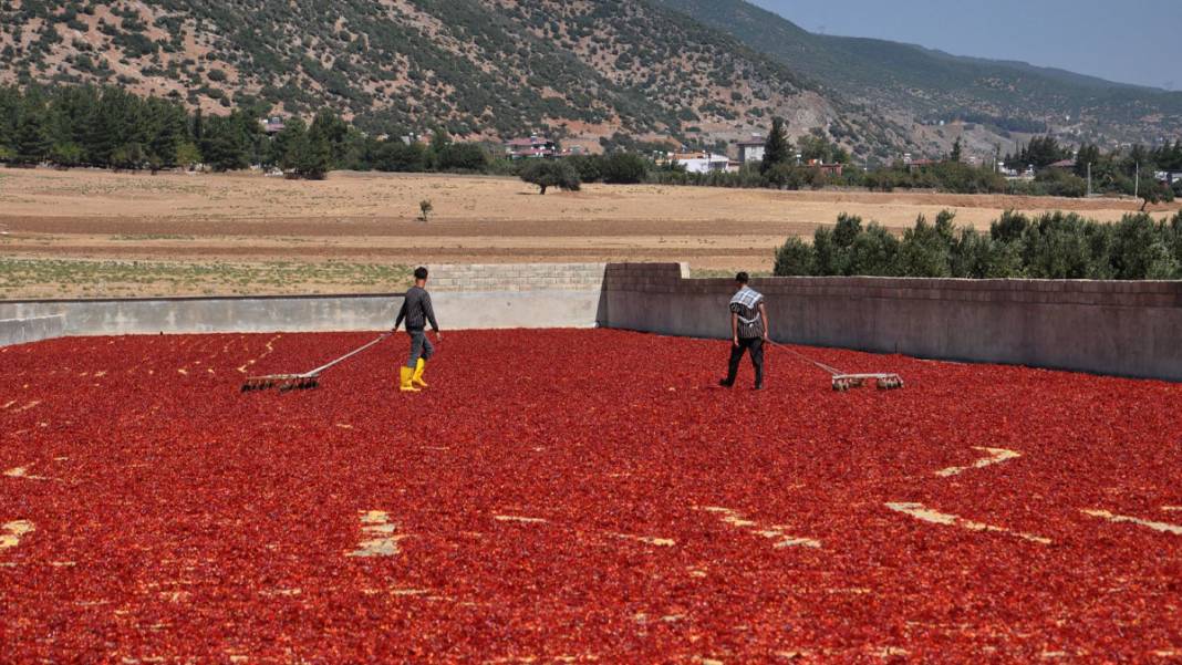 Gaziantep'te işçiler, ekmeğini acıdan kazanıyor 9