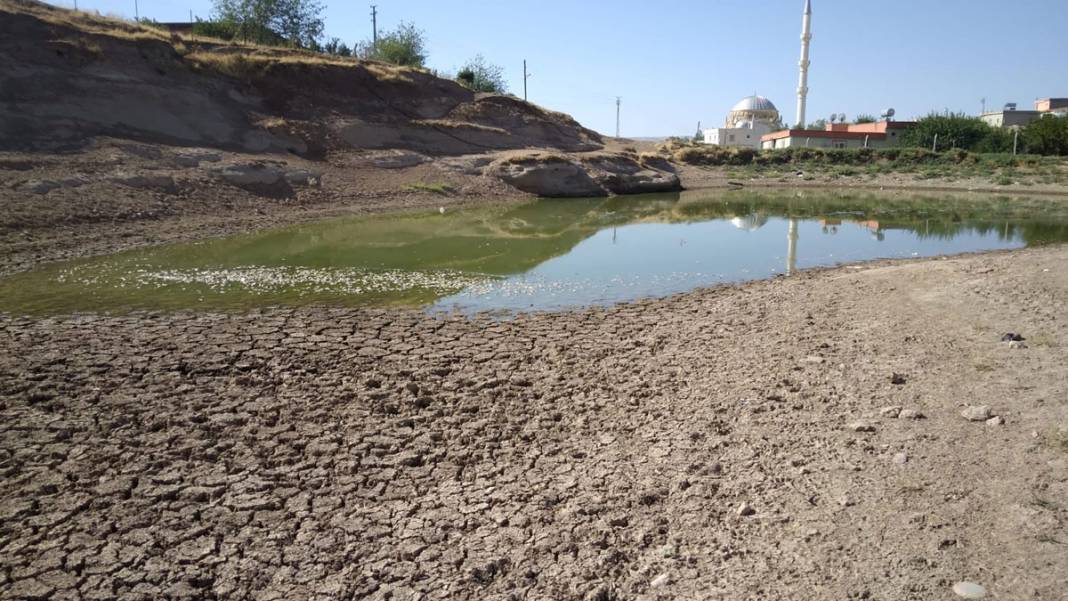 40 metre çekilen gölette balık ölüleri kıyıya vurdu 4