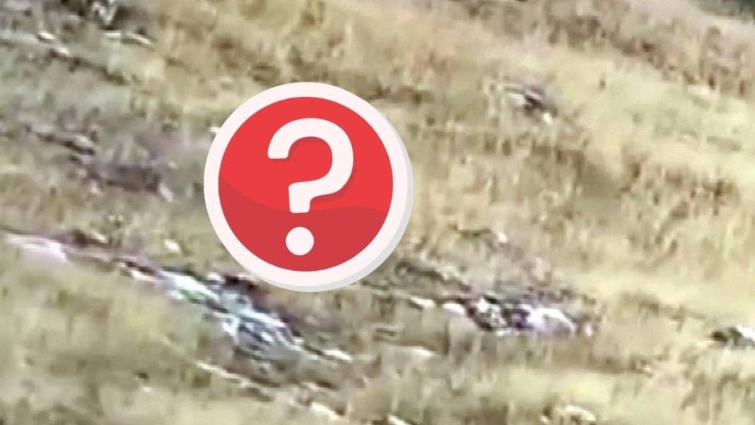 Burası Afrika savanası değil Yozgat! Öyle bir yaratık kameralara takıldı ki... Görenler belgesel sandı 1