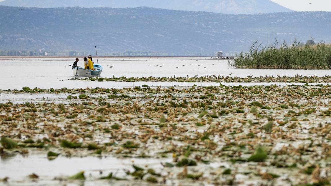 Tabloları aratmıyor: Beyşehir Gölü'ne ziyaretçi akını 1