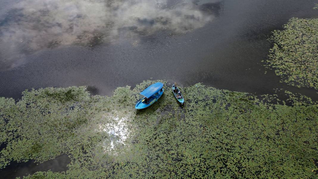 Tabloları aratmıyor: Beyşehir Gölü'ne ziyaretçi akını 4