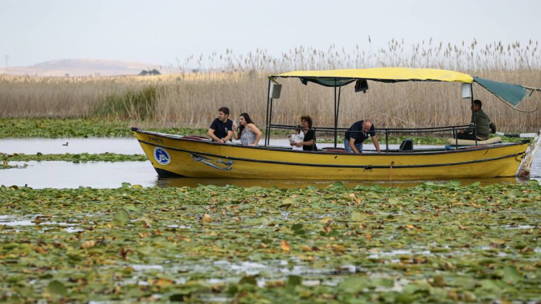 Tabloları aratmıyor: Beyşehir Gölü'ne ziyaretçi akını 5