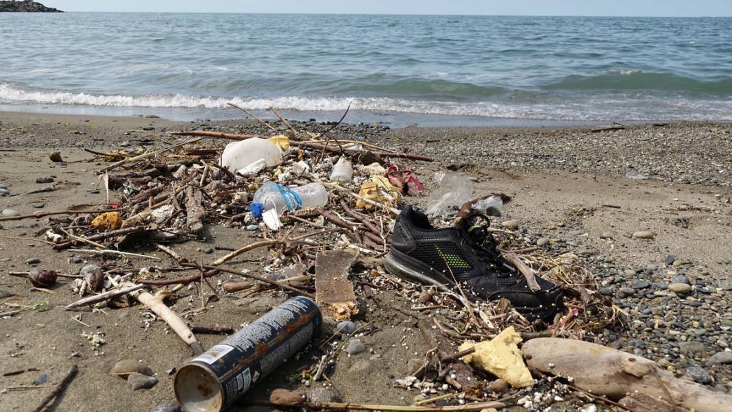 Karadeniz yaylalarında korkutan manzara: Son 10 yılda yüzde 80 arttı 3