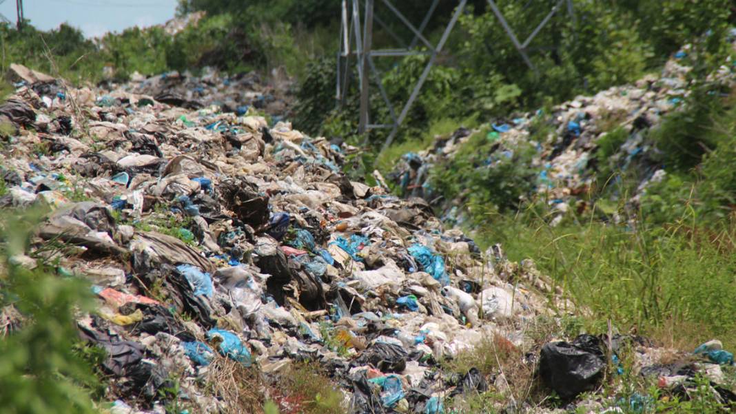 Karadeniz yaylalarında korkutan manzara: Son 10 yılda yüzde 80 arttı 5