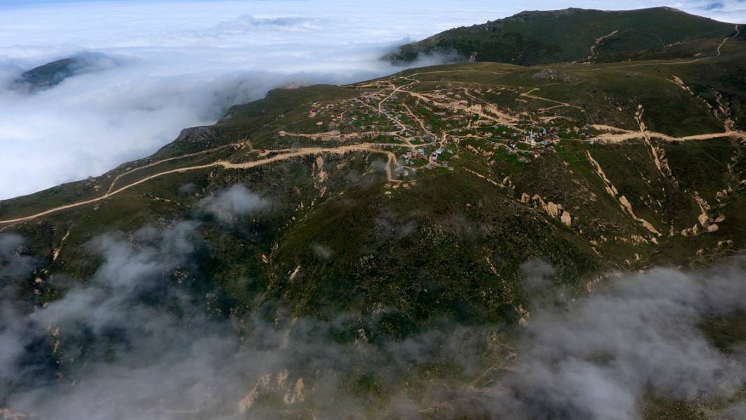 Karadeniz yaylalarında korkutan manzara: Son 10 yılda yüzde 80 arttı 1